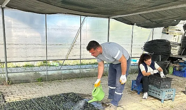 Seferihisar Belediyesi Tohum Takas Şenliği’ne hazırlanıyor