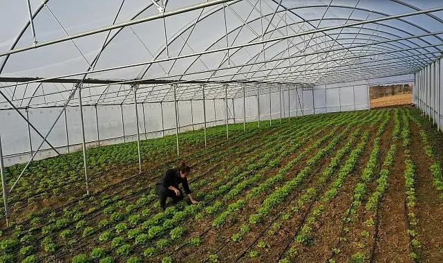 Büyükşehir’den çiftçilere modern sera desteği