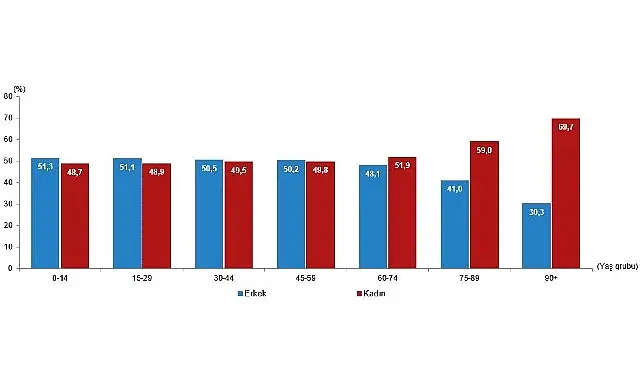 İstatistiklerle Kadın, 2025